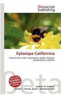 Xylocopa Californica: (English)