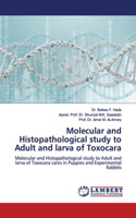 Molecular and Histopathological study to Adult and larva of Toxocara