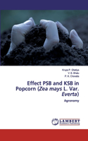 Effect PSB and KSB in Popcorn (Zea mays L. Var. Everta)