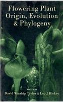 Flowering Plant Origin, Evolution & Phylogeny