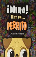 Â¡ MIRA ! HAY UN ... PERRITO