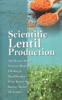 Scientific Lentil Production