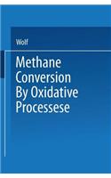 Methane Conversion by Oxidative Processes: Fundamental and Engineering Aspects