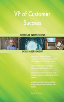 VP of Customer Success Critical Questions Skills Assessment