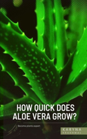 How Quick Does Aloe Vera Grow?: Become plants expert