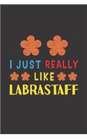 I Just Really Like Labrastaff: Dog Training Logbook For Peoples Who Loves Their Labrastaff Dog