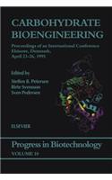 Carbohydrate Bioengineering