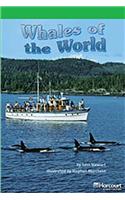 Storytown: Above Level Reader Teacher's Guide Grade 5 Whales of the World