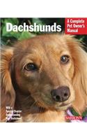 Dachshunds