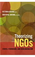 Theorizing NGOs