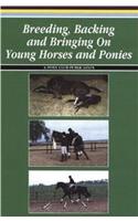 Breeding, Backing and Bringing on Young Horses and Ponies