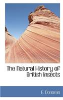 The Natural History of British Insects