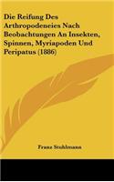 Die Reifung Des Arthropodeneies Nach Beobachtungen an Insekten, Spinnen, Myriapoden Und Peripatus (1886)