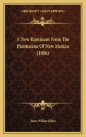 A New Ruminant From The Pleistocene Of New Mexico (1906)
