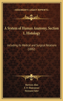 A System of Human Anatomy, Section 1, Histology