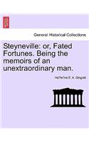 Steyneville