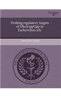 Probing Regulatory Targets of Dksa/Ppgpp in Escherichia Coli.