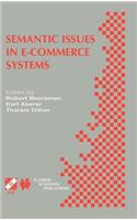 Semantic Issues in E-Commerce Systems