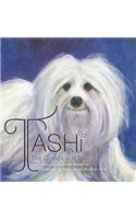 Tashi The Good Luck Pup