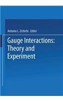 Gauge Interactions