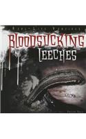 Bloodsucking Leeches