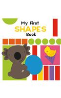 My First Shapes Book: Illustrated