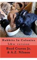 Rabbits In Colonies