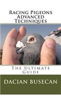 Racing Pigeons Advanced Techniques