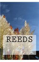 Reeds