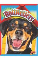 Rottweilers: (Doggie Data)