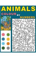Animals Colour By Numbers