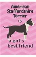 American Staffordshire Terrier is a girl's best friend: For American Staffordshire Terrier Dog Fans