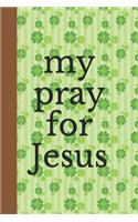my pray for Jesus: 100 Days of Grace & Gratitude