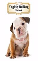 English Bulldog Notebook: Puppy - Composition Book 150 pages 8.5 x 11 in. - 5x5mm Graph Paper - Writing Notebook - Grid Paper - Soft Cover - Drawing