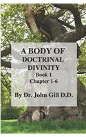 A Body Of Doctinal Divinity Book 1 Chapter 1-6