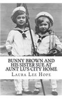 Bunny Brown and His Sister Sue at Aunt Lu's City Home