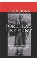 Forehead Like Flint: How to blast through your brick walls and come out smiling!