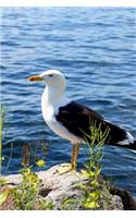 Lesser Black-Backed Gull Journal (Larus Fuscus): 150 page lined notebook/diary