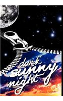 Dark Sunny Night