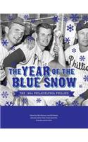 The Year of Blue Snow