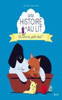Ou dors-tu, petit chat ?