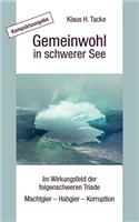 Gemeinwohl in schwerer See - Kompaktausgabe