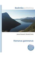 Homarus Gammarus: (English)