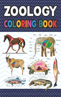 Zoology Coloring Book