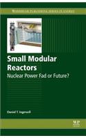 Small Modular Reactors