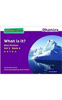 Read Write Inc. Phonics: What is it? (Purple Set 2 Non-fiction 4): (Read Write Inc. Phonics)