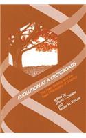 Evolution at a Crossroads