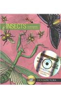 Insects