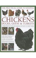 The Practical Guide to Keeping Chickens, Duck, Geese & Turkeys