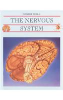 Nervous System and the Brain (Invis Wld)